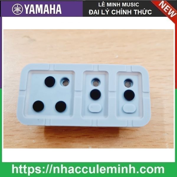 Nút Nhấn Star Stop Yamaha PSR S710, S910