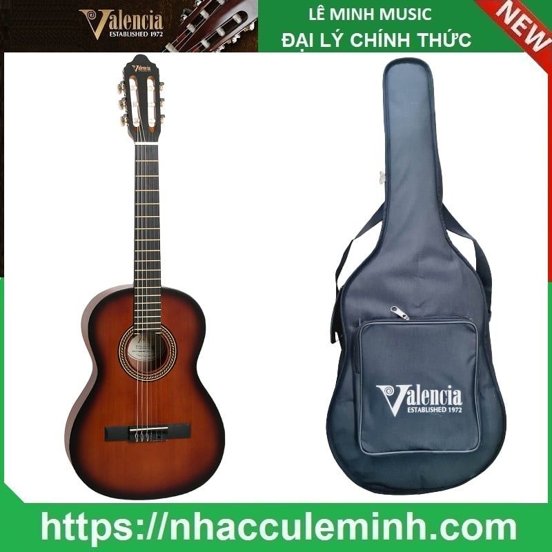Đàn Guitar Classic Valencia VC 203 CSB (size 3/4)
