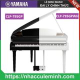 Đàn Piano Điện Yamaha CLP 795GP
