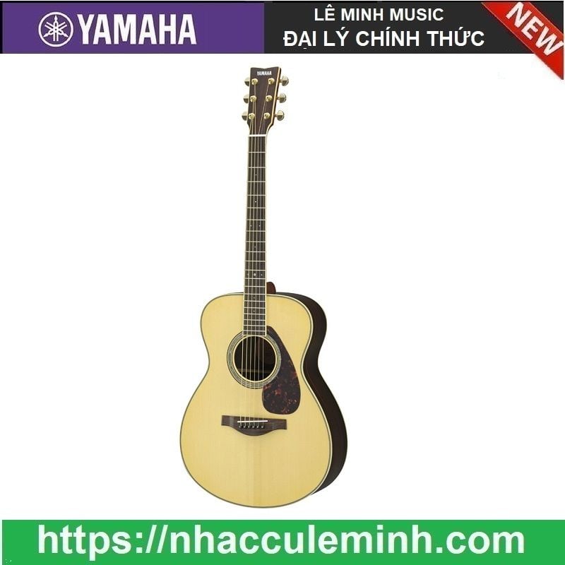 Guitar Acoustic LS6 ARE