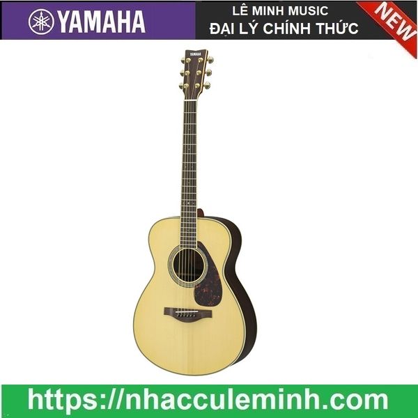 Guitar Acoustic LS6 ARE