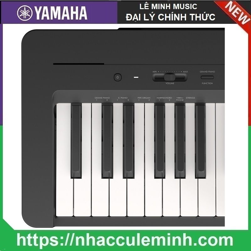 Đàn Piano Điện Yamaha P143 B