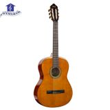 Đàn Guitar Classic Hybrid Valencia VC264 HT