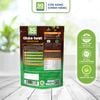 chaotuoiluondauxanh240g