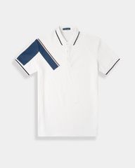 Áo Polo Nam In Sọc R1300BB144