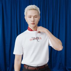 Áo Thun - AT - R1210 BD270