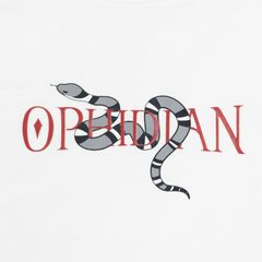 Áo Thun - AT - R1210 BD270