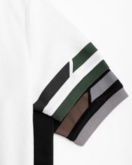 Áo Polo Nam Phối Bo R1300BB136