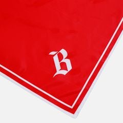 ATVNCG - Spark Bandana