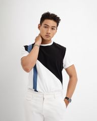 Áo Thun Nam Ghép Màu CS1210BB317