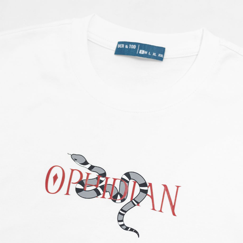 Áo Thun - AT - R1210 BD270