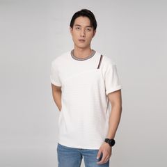 Áo Thun Nam Phối Bo R1210BB204