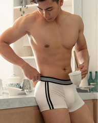 Stripe Underwear 002