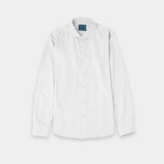 Office Shirts 20022
