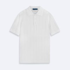 Áo Thun Có Cổ - ATC - CS1300 BD241