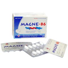 MAGNESI-B6