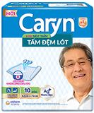 CARYN TAM DEM LOT 10 MIENG