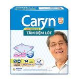 CARYN TAM DEM LOT 14 MIENG