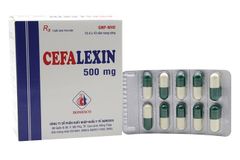 CEPHALEXIN 500MG