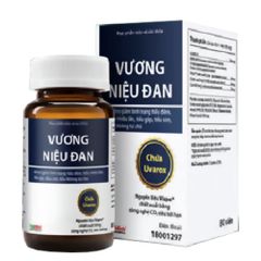 VƯƠNG NIỆU ĐAN 80V