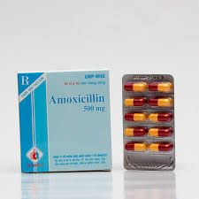 AMOXICILLIN 500MG