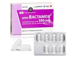 Bactamox 500mg