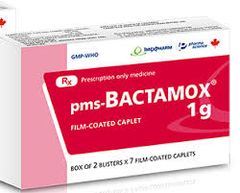 Bactamox 1g