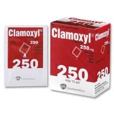 CLAMOXYL 250MG