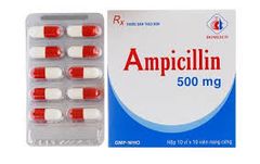 AMPICILINE 500MG