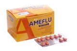 AMEFLU DAY C