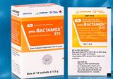 Bactamox 375mg