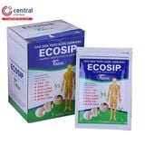 Ecoship