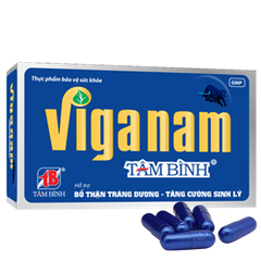 VIGANAM TÂM BÌNH