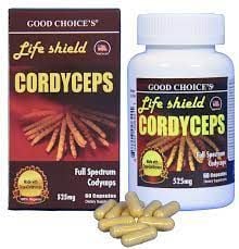 Cordyceps