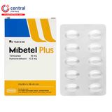 MIBETEL PLUS