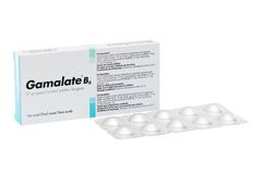 Gamalate B6