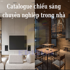 Catalogue chiếu sáng chuyên nghiệp trong nhà - mã WC3180