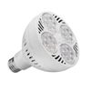 Bóng led ray PAR 35W