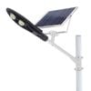 Đèn đường Năng lượng Solar light chiếc lá 150W - Jindian