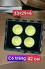 Đèn pha chóa Chén (Bát) ngoài trời Loai (A)Tốt 100w 150w 300w