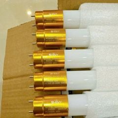 Đèn tube 1m2 SHINY 32W, 36W, 40W, 50W