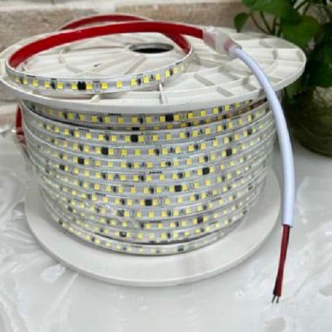 Led dây 2835 - 4040 - 5054 cuộn 100m - 220v, 10cm điểm cắt