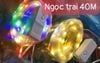 Led ngoc trai ngoài trời 220V 10m, 20m, 40m, 50m, 80m, 100m