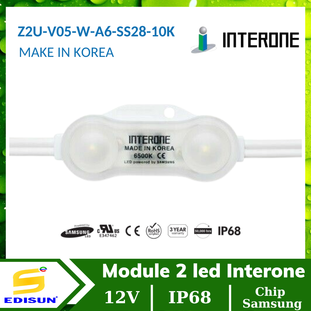 Module 2 led Interone Z2U-V05-W-A6-SS28-10K