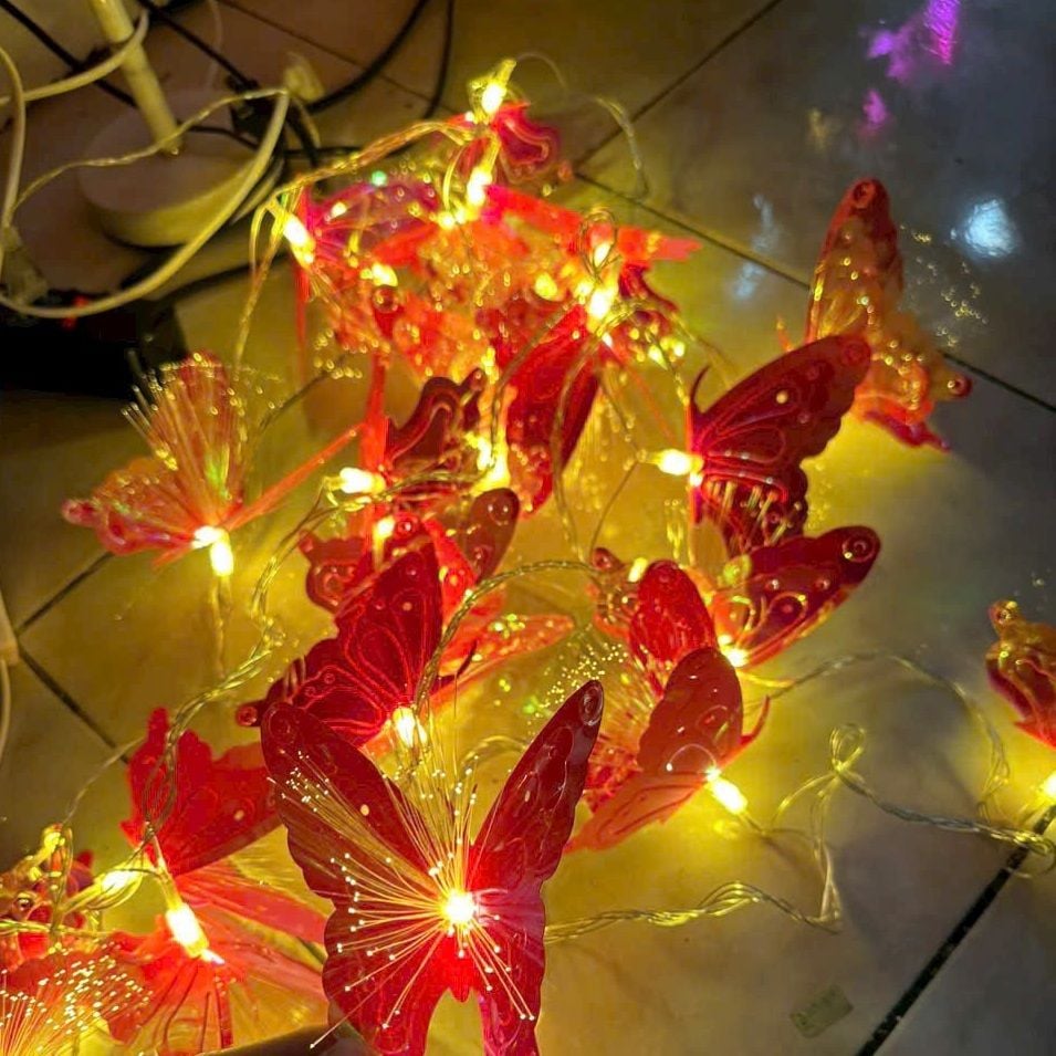 Led dây trang trí bướm hồ điệp 5m