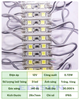 Module 2 led 4040, ánh sáng trắng, vàng ngắn, thường B