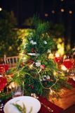  MERRY CHRISTMAS - SKY GARDEN  - OZ_LVS 