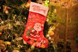  YEP - MERRY CHRISTMAS - STOZ1 - OZ_LVS 