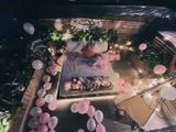  SUPER VIP - SKY MOMENT 2 - PINK LADY - OZ_LVS 