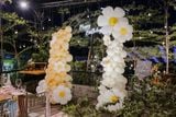  TỔNG HỢP CÁC MẪU BACKDROP 